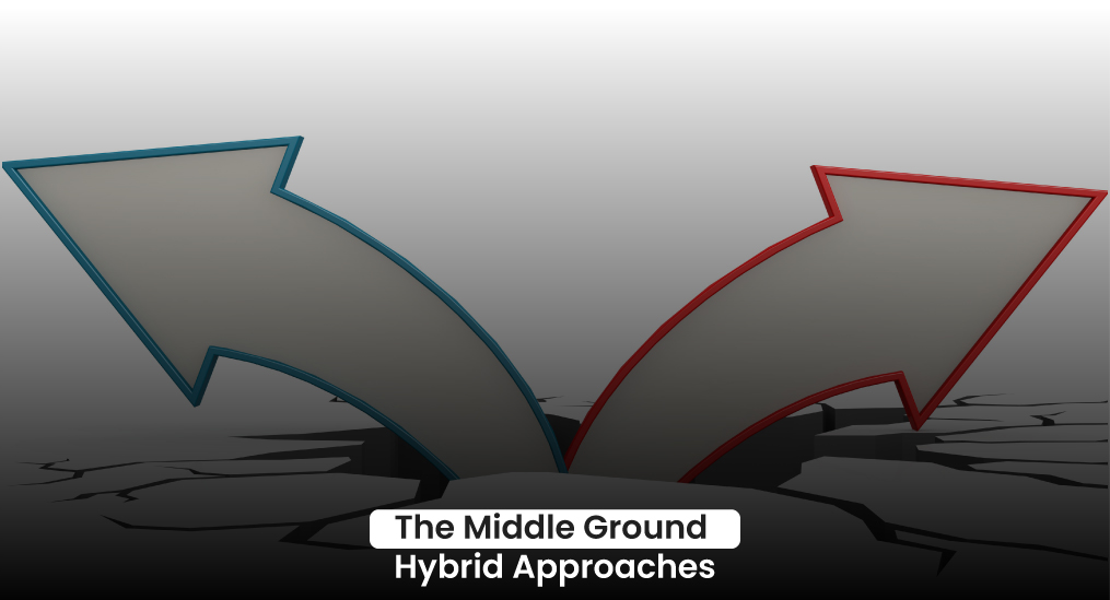the-middle-ground-hybrid-approaches
